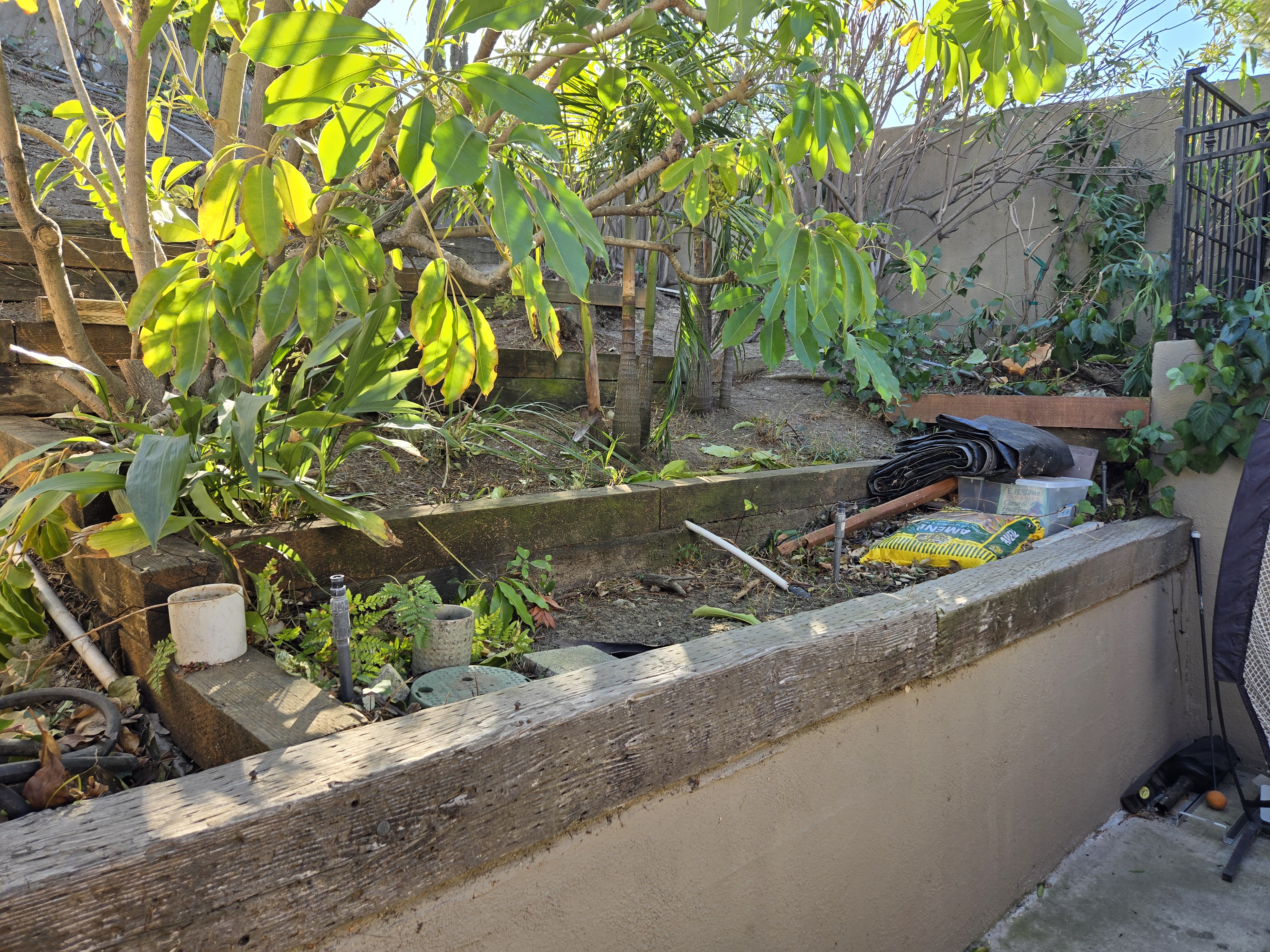 Home Views and Restorations
